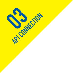 03 API CONNECTION